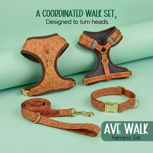 Ave Walk Harness Set | All-Day Comfort Walk Set with Leash & Collar